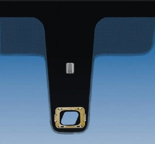 Photo du produit Citroen C4 ( 2004-2010 ) P.B. Vert + Capteurs encapsulé