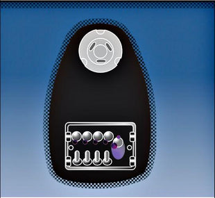 Photo du produit BMW Série 5 E39 ( 2001-2003 ) PB Vert + Double Capteurs